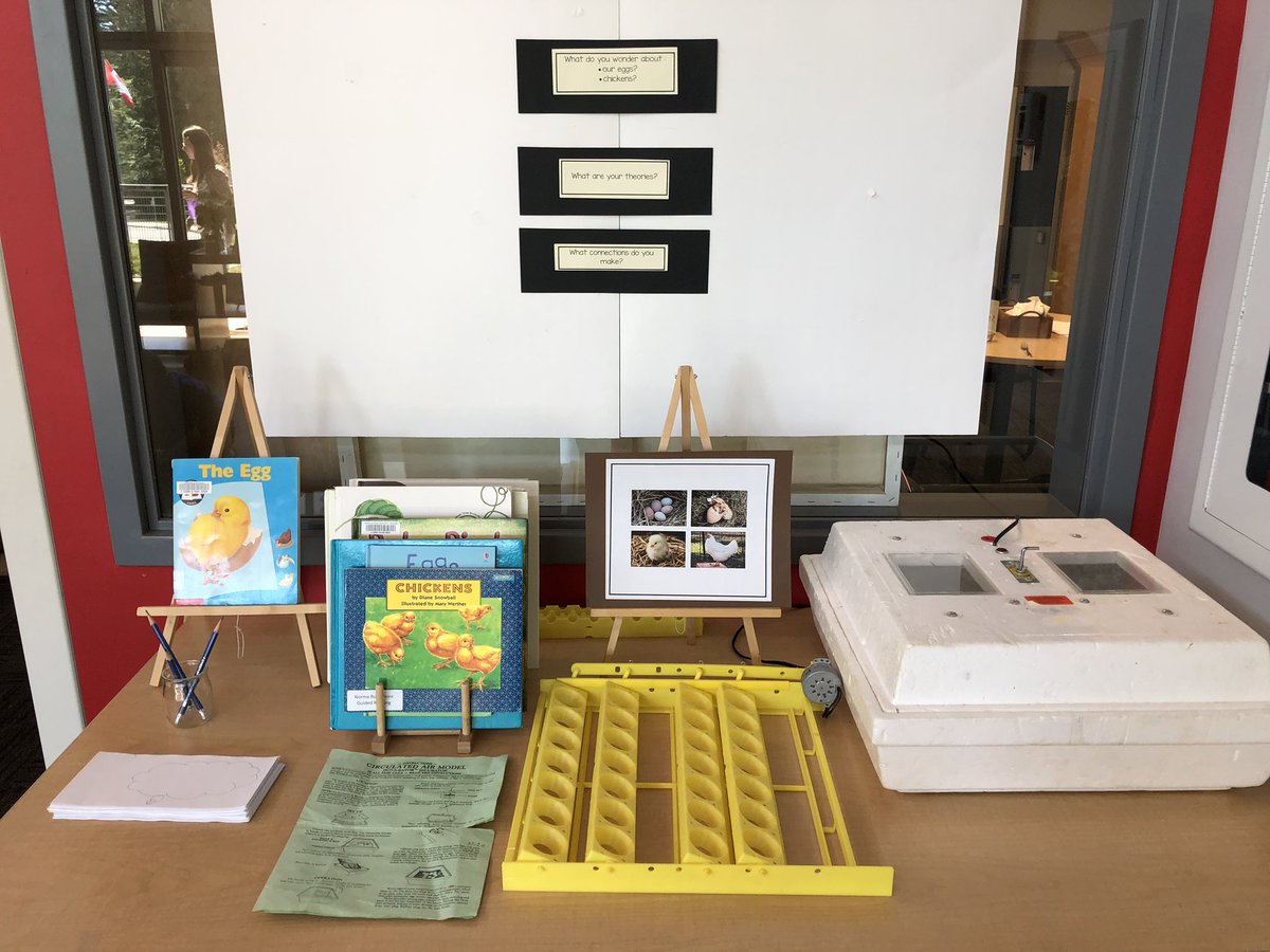 kmac_50's tweet image. The eggs have arrived!! Learning about life cycles in Sword fern Community. Chicks expected in 21 days! #inquiry @RosePointSchool