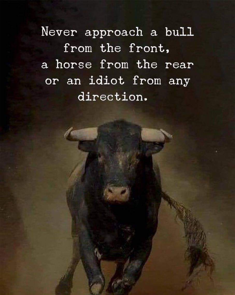 chauhan_ruchir's tweet photo. True🤣
#WednesdayWisdom #WednesdayMotivation #Wednesday #wednesdaythoughts #happywednesday #AmazingWednesday https://t.co/eLk6SRWNM7