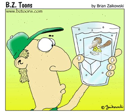 KnowledgePanel's tweet image. Cartoon Time

bztoons.com