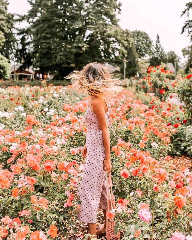 salty_moffu's tweet photo. @Jn_7L * ° …
Wherever
you may
#BeBloom
and
#BeHappy
#HappyMay
#Jη_❀
#moffu☮ . °˖ 🌼 ˖ https://t.co/OXHQ48YDSh