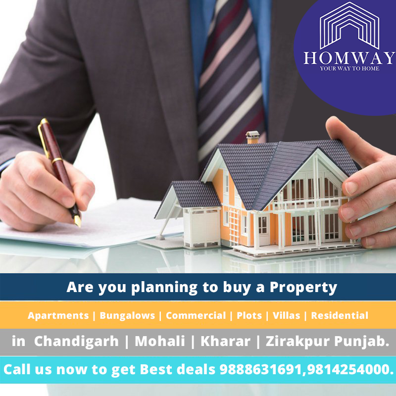 homwayindia's tweet photo. #Homway #realestate #property_in_mohali #property_in_chandigarh, #homwayindia, #commercialrealestate, #property #Plot #Residential Call us now to get #bestdeals and #bestservices with proper guidance.
Contact:9888631691,9814254000. https://t.co/eUfTvyiIrX