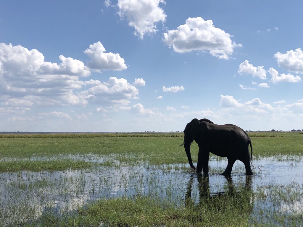 はるたぬ tweet media