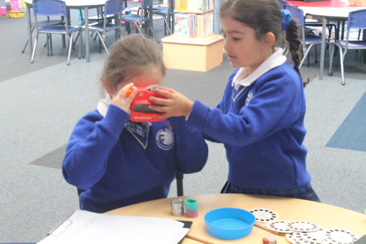 Mother Teresa Primary School tweet media