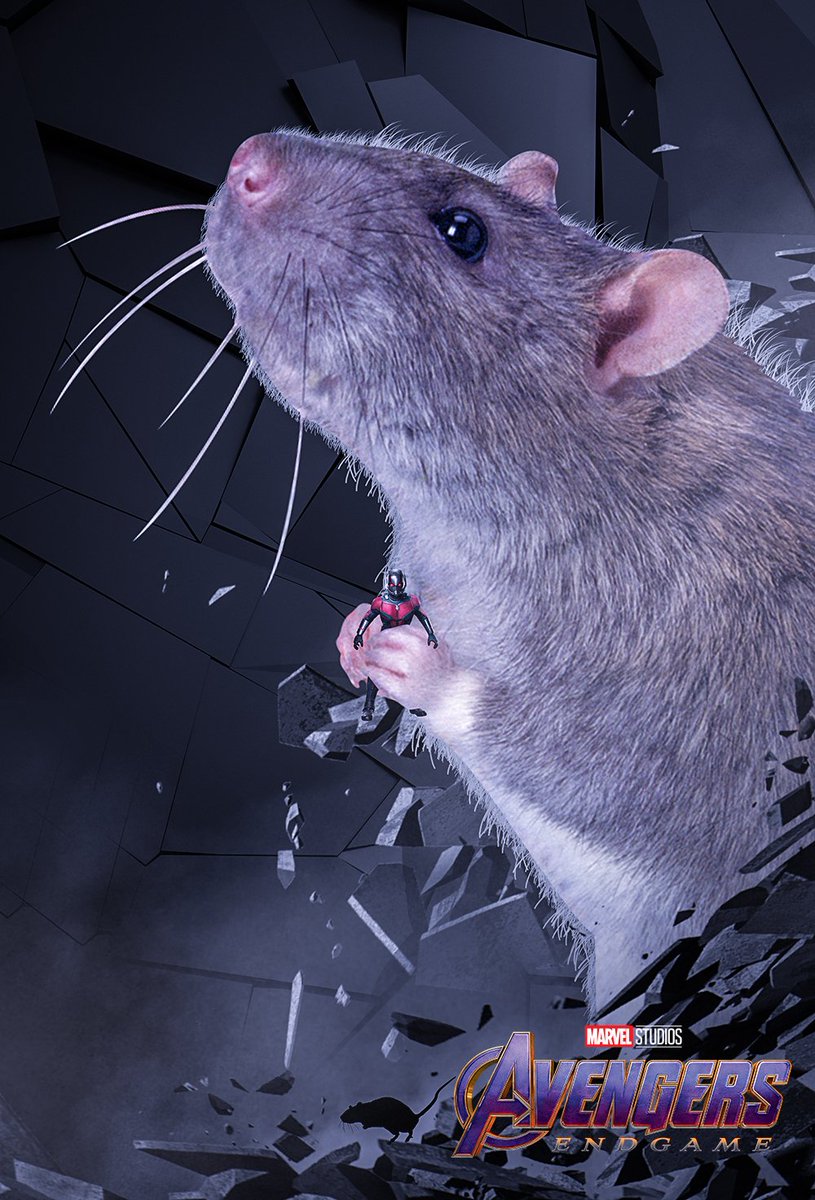 Bosslogic On Twitter Real Mvp Avengersendgame