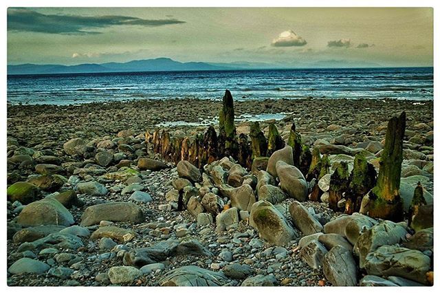 myeyeandmycame1's tweet photo. The rocky coastline.
#ireland #irish #dublin #lovindublin #discoverdublin #discoverireland #moodygrams #agameoftones #igworld #igersdublin #illgrammers #igersireland #wonderfulplaces #lightroom #lonelyplanet #living_europe #irelandsancienteast #visualam… https://t.co/vLnEU6JejF https://t.co/25FsqNJSDC