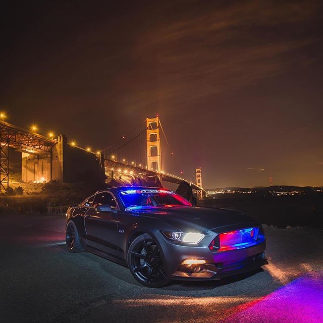 MustangShoutOut's tweet photo. #Repost @rocky_ote ・・・ Run 😈 I dare ya 😏. #project6gr #mustangs_empire #mustangdepot #mustangfanclub #mustang_lifestyle #mustangsaddiction #mustang_freakzz #mustangsuniverse #worldwidestangs #police #goldengate #jfphotography #calimuscle #stang https://t.co/46AWBNXEbc https://t.co/5JxTDfsVHv