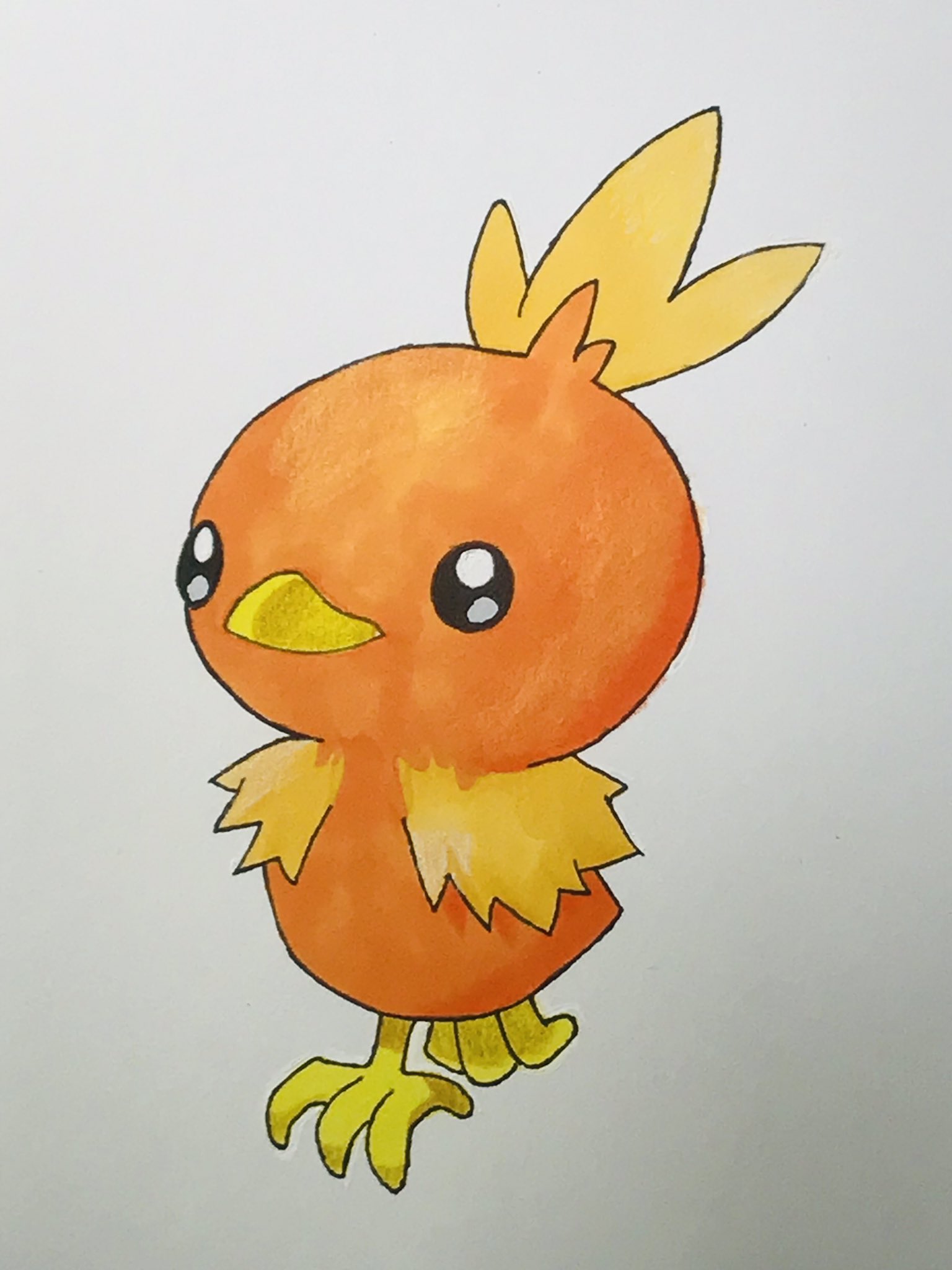 Johnny 令和第1弾イラストupしまーす O ホウエン御三家は3匹全部好きだな ポケモン ポケットモンスタールビーサファイア ポケットモンスターアドバンスジェネレーション ポケモン好きと繋がりたい ポケモン絵描きさんと繋がりたい 絵描きさん