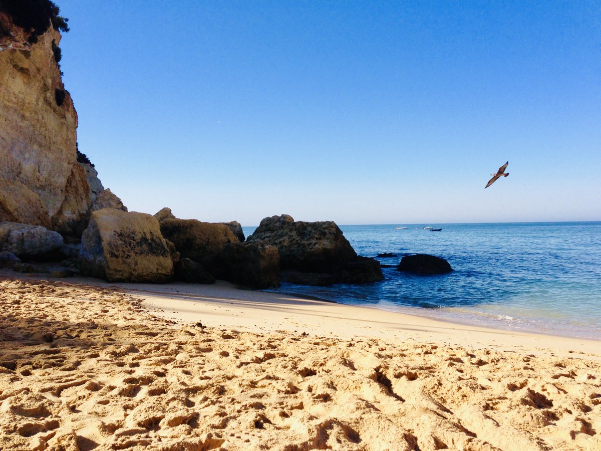 #Stille #mentalcoaching-akademie itunes.apple.com/de/podcast/der… oder unter mentalcoaching-akademie.podspot.de
mentalcoaching-akademie.de/?utm_campaign=…