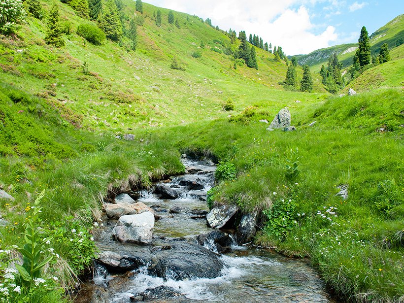 AGU_Eos's tweet photo. Research Spotlight: Large stones in streams provide crucial habitat for fish. Modeling the boulders and streamflow offers fresh insights into how water engineering projects alter aquatic habitats.

By @sidquan, #hydrology @niayifar @sber_epfl #AGU100

https://t.co/fqL58Xzk0O https://t.co/xVwIAbs9Z2