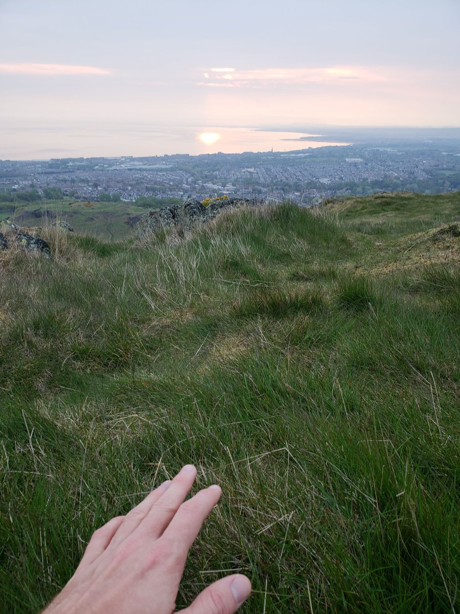 AucoinTaylor's tweet image. 'At daybreak [#MayDay] morning scattered groups...ascended the grassy slopes of Arthur's Seat for the purpose of washing their faces in the #MayDew' (The Scotsman 1873).

Dew a bit hard to find this #MayMorning but hoping it'll bring good luck for today's job interview! #Folklore