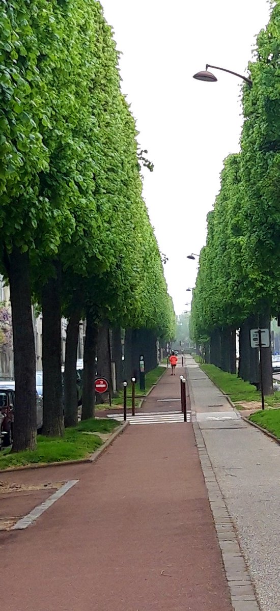 BarrMarie's tweet photo. #RunningMatinal done ! 🏃♀️👟 https://t.co/MLE6xIPwpq
