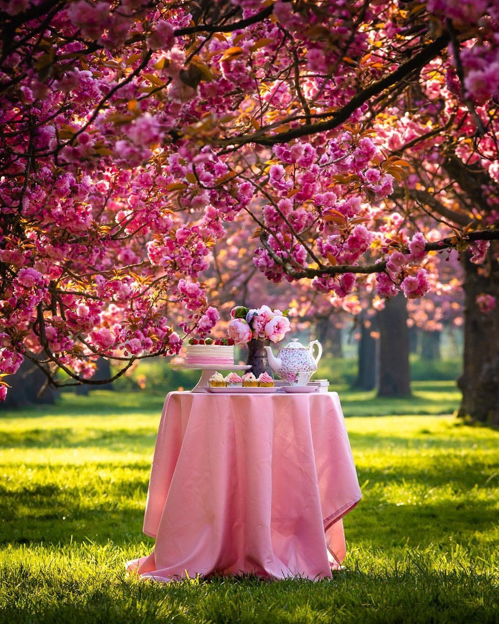 Beautiful Spring Love