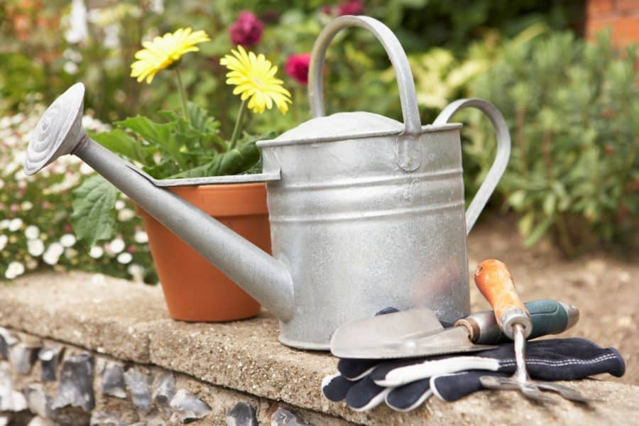 turffox's tweet photo. LOOKING FOR THE BEST, RELIABLE CARE AND MAINTENANCE SERVICE FOR YOUR SARASOTA FL LAWNS? CONTACT TURF FOX NOW.
https://t.co/7WN5lwDYPG
#reliablecare #lawnmaintenance #sarasotalandscape #lawncare https://t.co/KqmkWzgoIF