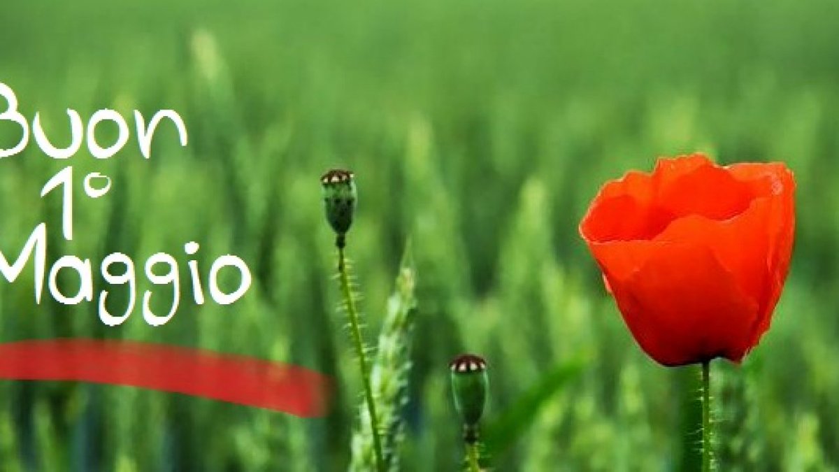 KleosC's tweet photo. KLEOS augura un buon 1 Maggio. 
Vi aspettiamo al #castellodivenere #polomusealecordici #torrettapepoli #quartierespagnolo #ericeinminiatura
dalle 10.00 alle 18.00
e presso  #lasalerniana
dalle 10.30 alle 12.30
e dalle 16.30 alle 19.30

#kleos #kleoscoop #erice #trapani #cultura https://t.co/Bi3YW2qXPF