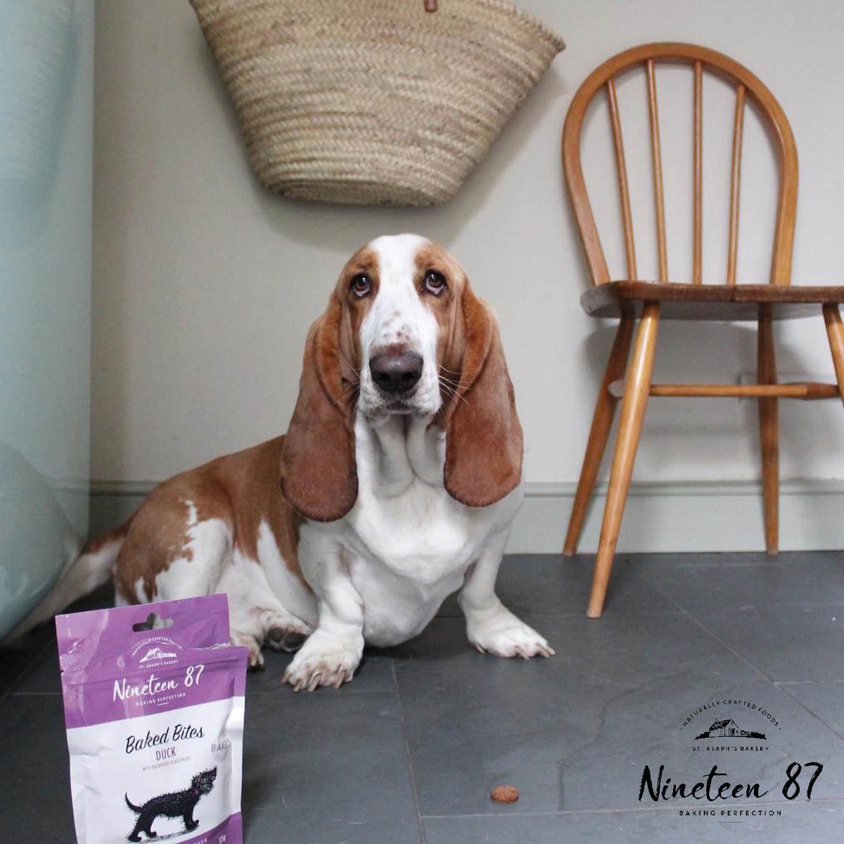 nineteen87pets's tweet photo. As well as baked chicken food and a goat bar, our taster packs come with our DELICIOUS duck bites, as shown here! RETWEET this post for your chance to win your dog a taster pack! ๐ #retweet #win #tasterpack #bakedisbest https://t.co/8Qmfsp8FR5