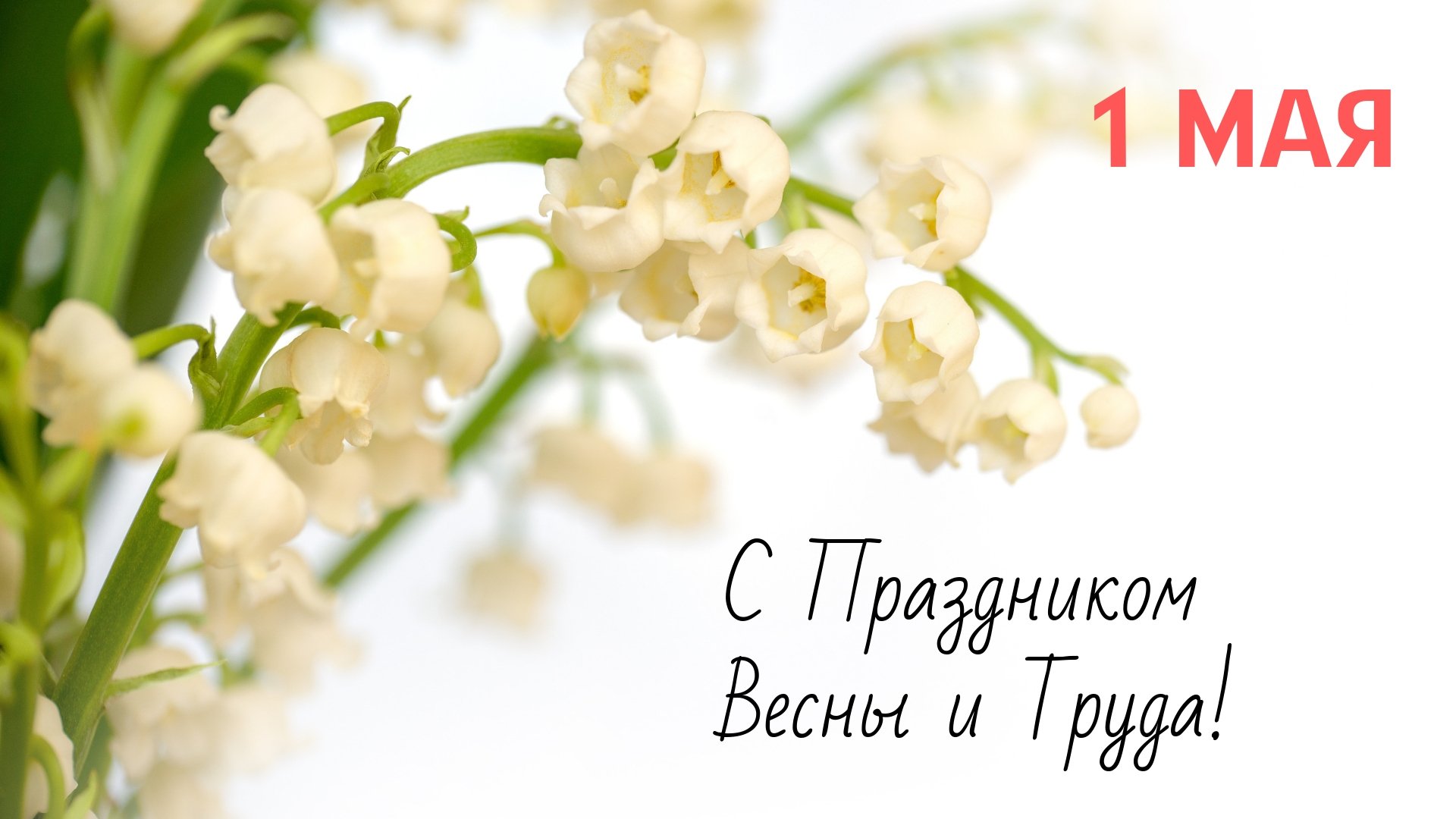 1 Мая праздник весны и труда