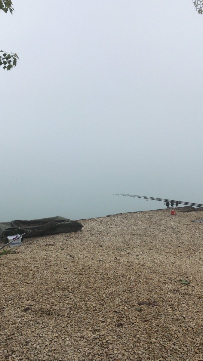 Yes that is fog and it’s freezing. Not a single bleep round the lake last night. But ment to be warm today