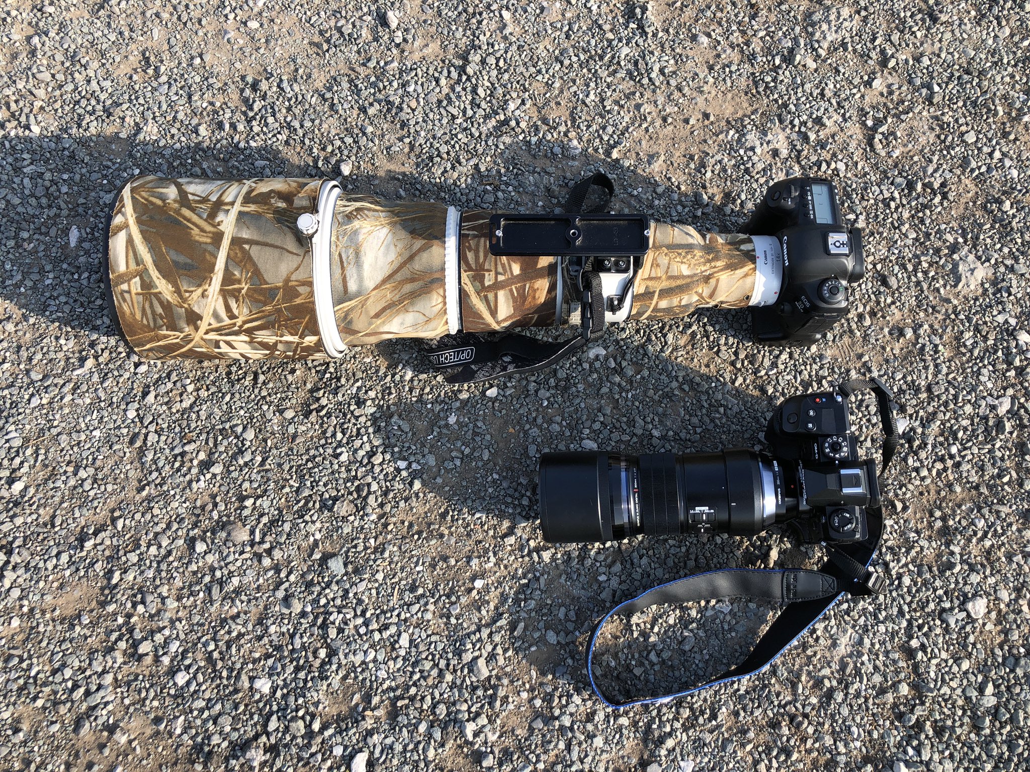 D5dxT0JXkAEVBmW.jpg:large