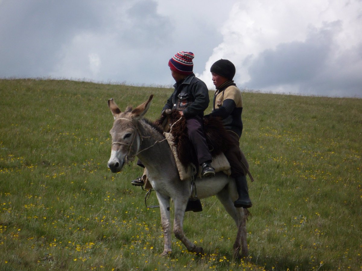 DJが中央アジアのキルギスを熱く語る！
「GROOVY LIFE in KYRGYZ! ～キルギスで人生をグルーヴ～ Vol.8」
keynoters.co.jp/kyrgyz_djvodka… …
