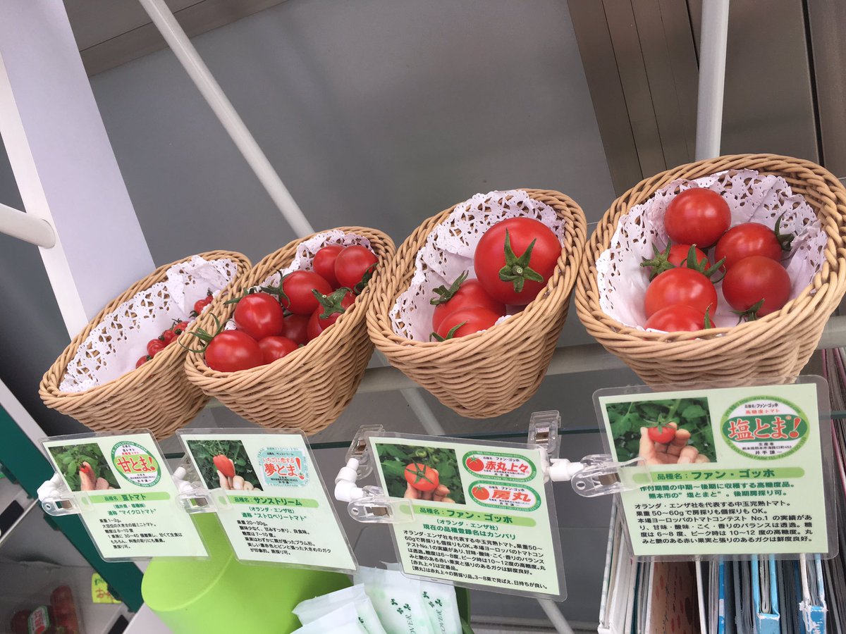 nons2sena's tweet photo. 🍅トマト🍅ご���で井出さんとお会いすることができてお話しすることができました✨色んな種類がありどれが自分の好みか試食もありとても美味しかったので家族にお土産買って帰り、その日はトマトサラダ❤みんなペロッと食べたw
また、トマト🍅求めにいこー♡♡
みんなも熊本行ったらぜひ🤗💗
#熊本 https://t.co/ay4V0zMXHv
