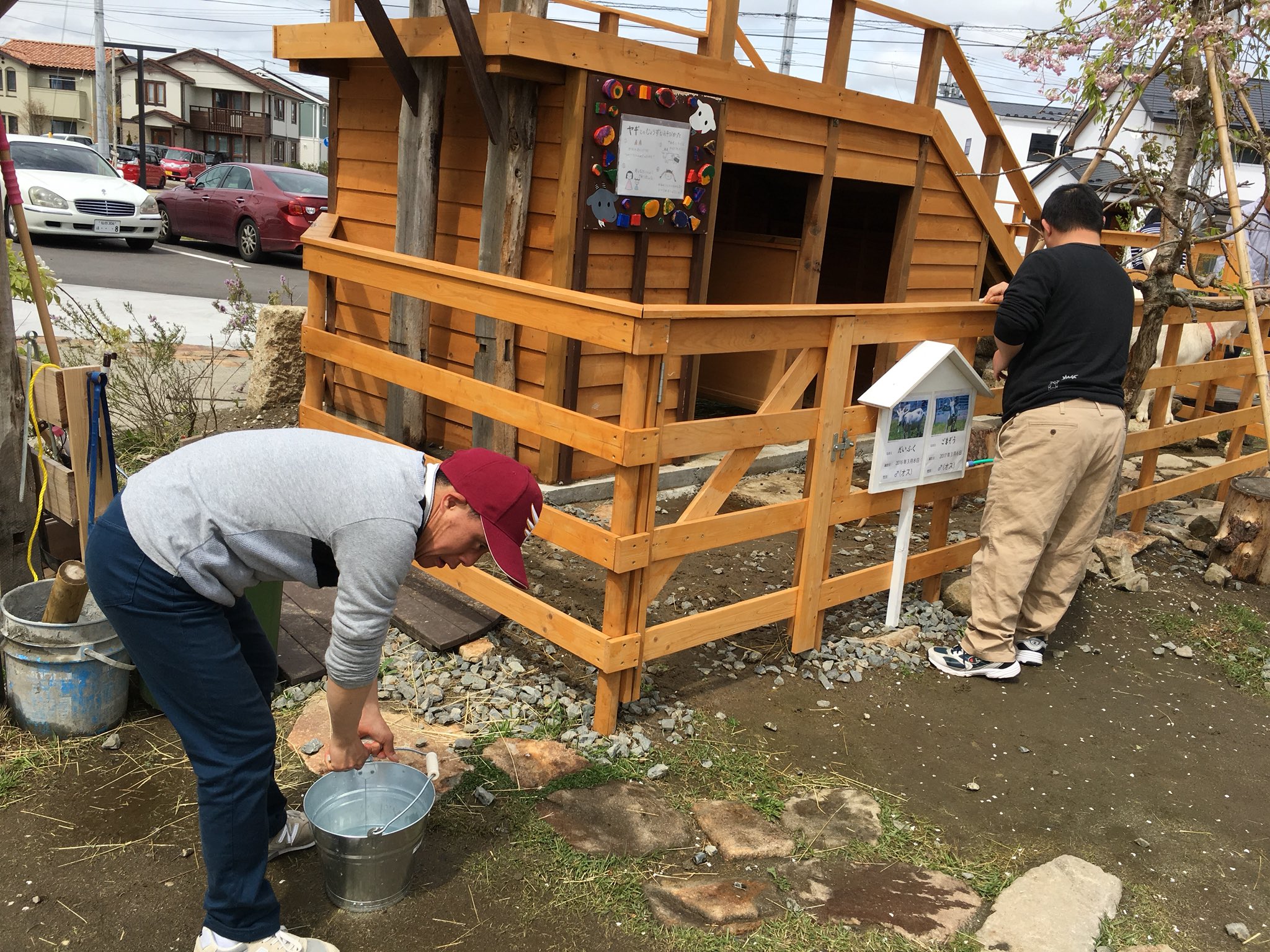 アンダンチ 皆さんと触れ合うヤギ小屋を アスノバ利用者さんとお掃除しておりました ゞ 気づいたら子供たちが寄ってきて 気づいたら エサやりタイムになってます 掃除に集中して下さーーーい アンダンチ アスノバ 就労継続支援b型