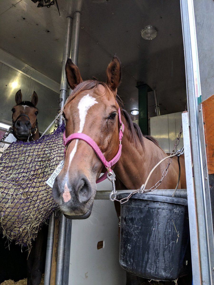 Word from the road.... PETE’S FLEET is traveling well, munching hay and drinking water 💦 He’s such a wonderful horse, so affable &amp; cooperative! His sire, AFLEET ALEX, is known for passing along this lovely temperament! <a href="/CaribbeanOTTB/">CaribbeanTBAftercare</a> <a href="/ExcellerFund/">The Exceller Fund</a> <a href="/TulsaBoysHome/">Tulsa Boys' Home</a>