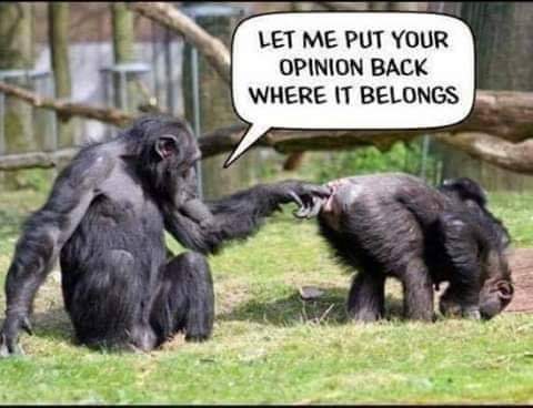 DaveBigArmes's tweet photo. https://t.co/Y5CYLrdwOa