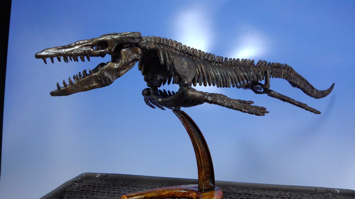 ものびゃー Sur Twitter ジオワールド社 モササウルス骨格 復元完了 O 平成の時代より石膏ジャケットから取り出してそのままになっていた標本を頭部を中心に復元 ３ B リアルな化石よろしくラッカーでボロボロになりつつも復元 O 令和1日に旧キット