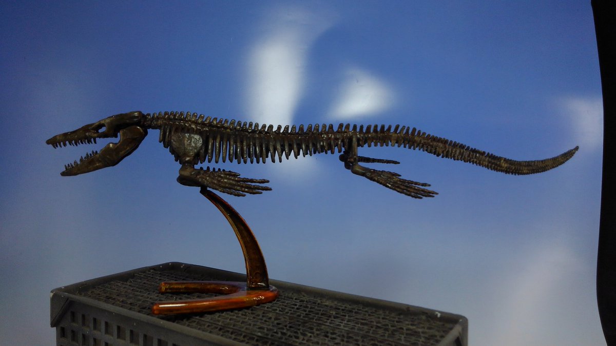 ものびゃー Sur Twitter ジオワールド社 モササウルス骨格 復元完了 O 平成の時代より石膏ジャケットから取り出してそのままになっていた標本を頭部を中心に復元 ３ B リアルな化石よろしくラッカーでボロボロになりつつも復元 O 令和1日に旧キット
