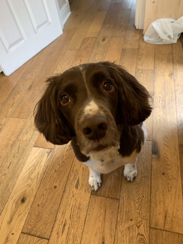 Alison Wright ♌️ tweet media