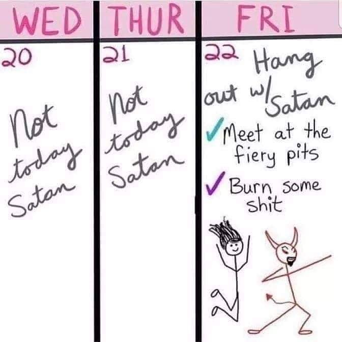 birdie 🕊 tweet media