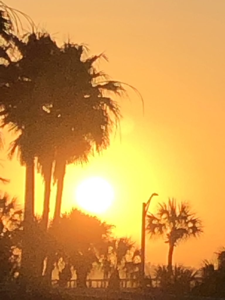 HPSDECA's tweet image. Great experience at #DECAICDC but going back home to @HPS_Eagles is always nice! #learnbyexperience #stretchrun @MichaelPoma_ @jaredshelby_ @Brad_Hays @HPSDECA