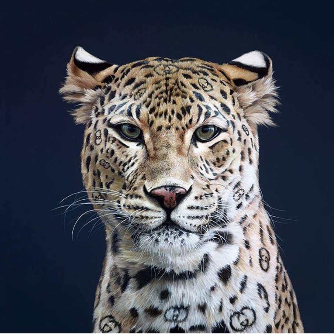 BluestoneArt's tweet photo. “Gucci Girl” available in our showroom! We’re absolutely in love with this piece by @hayleygoodheadartist - Limited edition embellished box canvas - 24” x 24” 

#Gucci #GucciGirl #Leopard #Brand #Branding #Realism #HyperRealism #Art #ArtForTheHome #HomeDecor https://t.co/OuM2LMPMyq