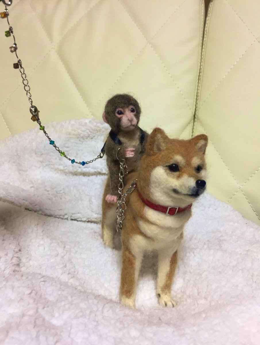 Twoucan ニホンザル の注目ツイート イラスト マンガ コスプレ モデル