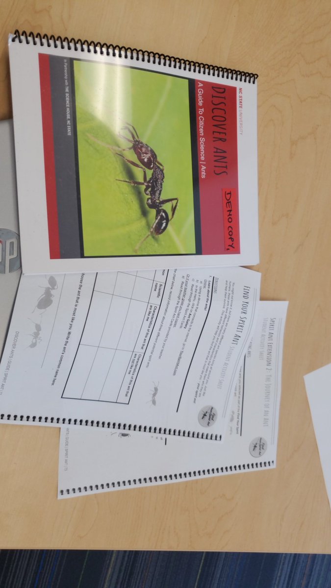 rmp4412's tweet photo. It's that time of year again!! Time for #antpicnic! My students love doing #CitizenScience and what a great way for them to learn about food and the different nutrients it provides. #dorealscience #teacherlife @MagSorger https://t.co/ZHbX3kJZfx