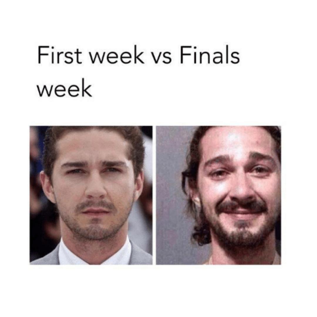 SnowResLife's tweet image. Hang in there, badgers! You're almost to the finish line! 😀#happyfinalsweek
.
.
.
.
.
#powerthroughit #snowcollege #finals #snowreslife #youcandoit #finalsweekmemes #carryonmywaywardson #youcandohardthings