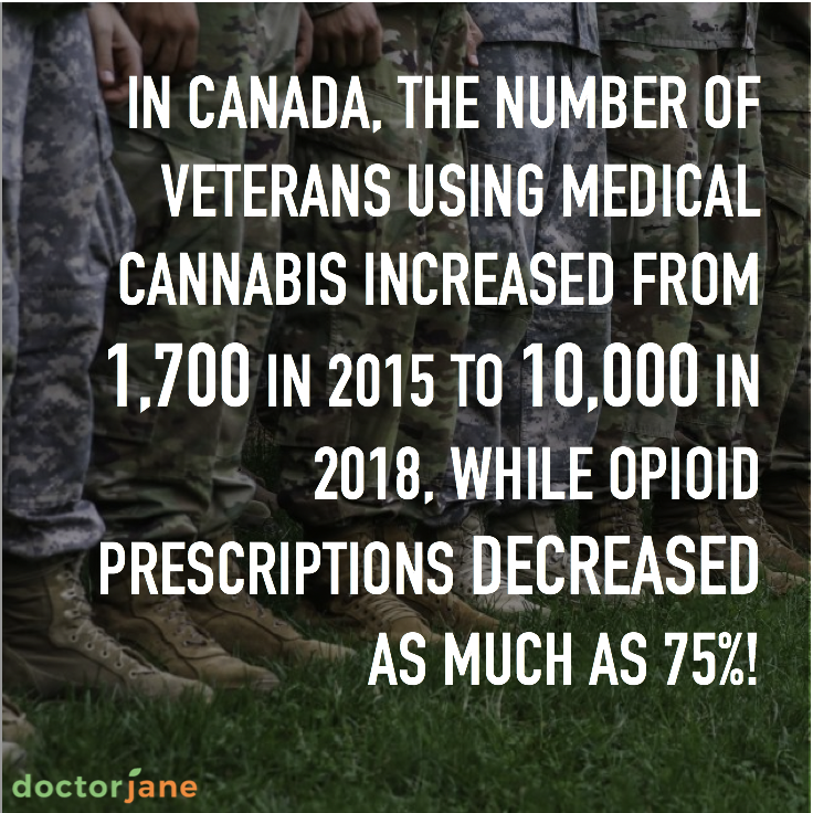 DrJaneOfficial's tweet photo. In honor of #NationalMilitaryAppreciationMonth, fantastic stats out of #Canada: #research from @VeteransENG_CA found the num. of injured #veterans using medical cannabis in place of #opioids has skyrocketed, and they're seeing more relief than ever! https://t.co/wl5HG5gxzD #DRJ https://t.co/ovPcDffUDP