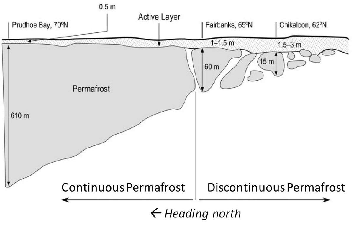 Far north, thick permafrost is found everywhere (continuous). We call this climate-driven permafrost. Further south, permafrost is thinner & patchy. We think of this as ecosystem-protected permafrost. What's on the surface matters, like my beloved peat (aka permafrost blanket)!