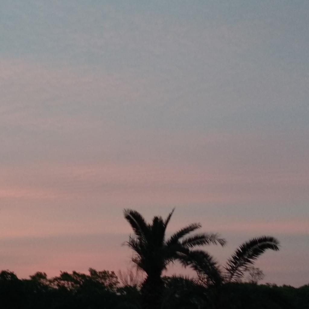 c886658's tweet photo. #新头像 https://t.co/llWMR23ebx