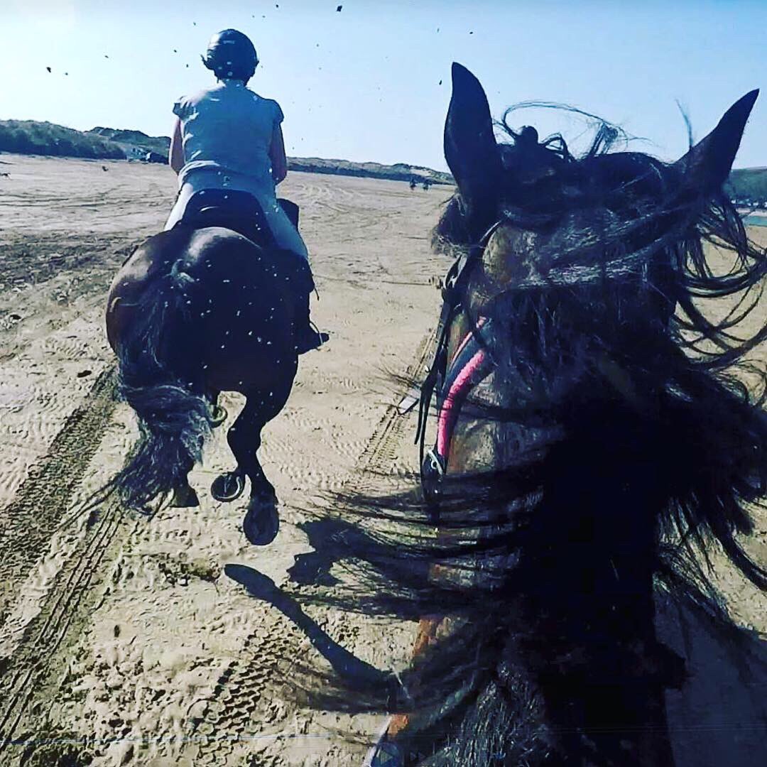 Two places free on our epic Trans Wales Trail, June 8-14, £100 discount to £1300 fully inclusive. Ride right across Wales on a stunning Welsh Sec D and finish with a beach gallop #horseridingholidays #ridewales #thedifferenceisourhorses #lastminuteridingholiday