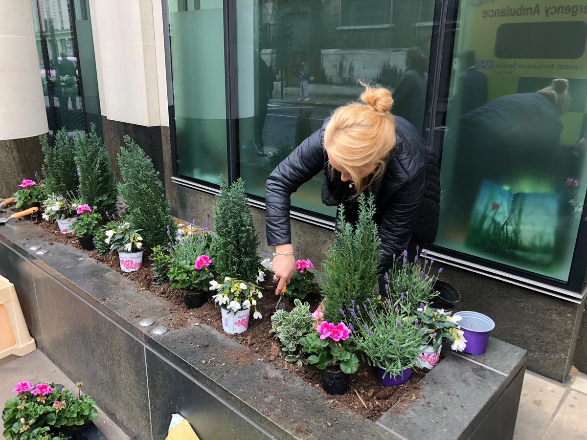 Today #teamlove are #planting 🌿 at one of our lovely #London client buildings 🏙 #gardening #plants #growth