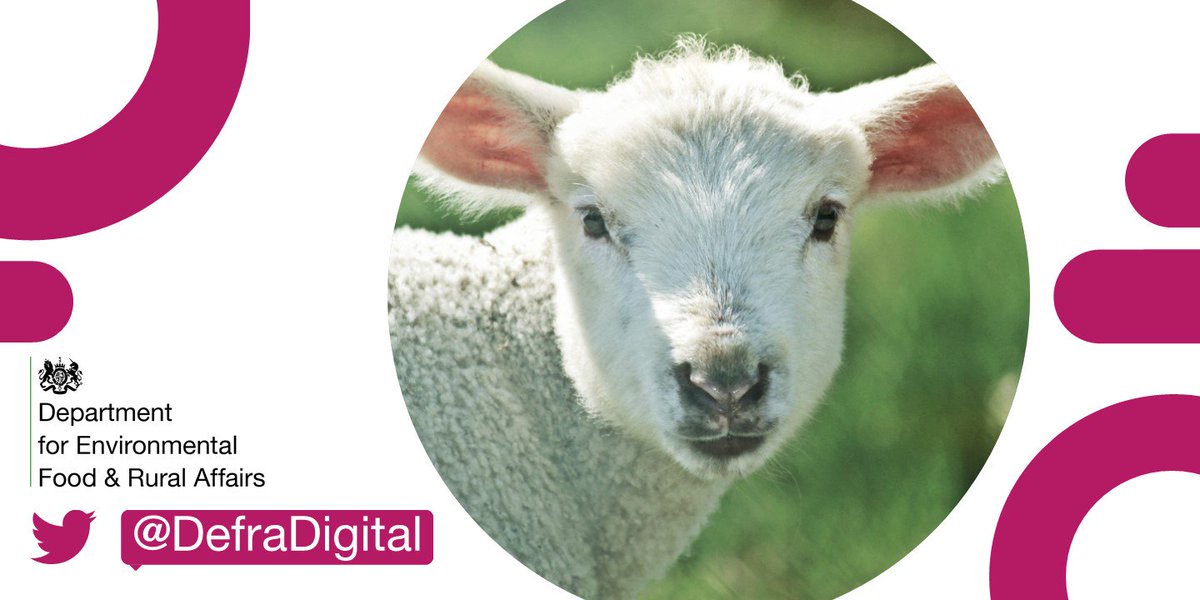 DefraDigital's tweet photo. Happy #MayDay -the signs of Spring are everywhere to be seen- in the fields, meadows, forests and water. Take some time out of your busy working life today to look around you and enjoy the signs of new life. #wellbeingwednesday #freshair #HappinessBegins #walking @BBCSpringwatch https://t.co/NNM4V3fmNM