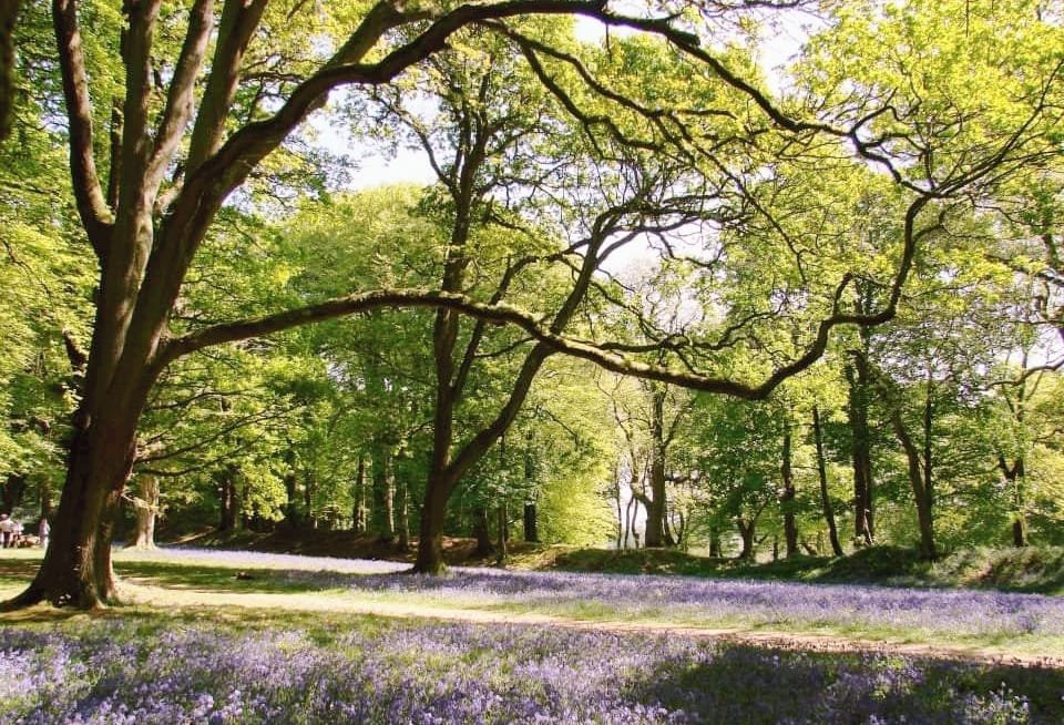 DevonLife's tweet photo. Congratulations to James Cook and Kelly Foley, the winners in our May banner competition! 🏆

James' shot of Jacob's Ladder won our popular Facebook vote while we have chosen Kelly's shot of Blackbury Camp to be our Twitter winner 📸

Thank you to everyone who took part! 💚 https://t.co/JiVbRwNR6k