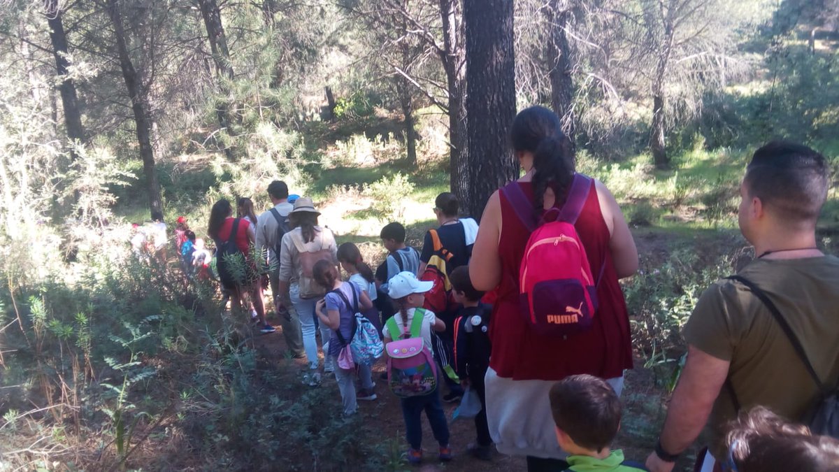 Ceip Algafequi tweet media