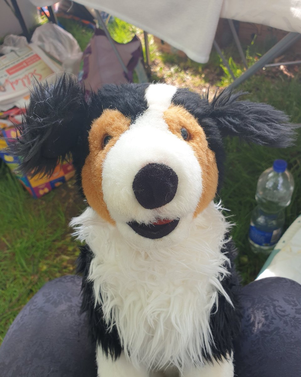 Uriel2911's tweet photo. Hallo, ich bin Eddie und suche ein zu Hause.
Flohmarkt Waldenburg/Sachsen
#tieresucheneinzuhause #spende #Spenden #Flohmarkt #fleamarket #donation #animalshelp #Kuscheltiere #kuschelfreundefürtiereinnot #donations #spendenaktion #nature #animallove #animalshelp #tierheimaltenburg https://t.co/XTuU66Gckr