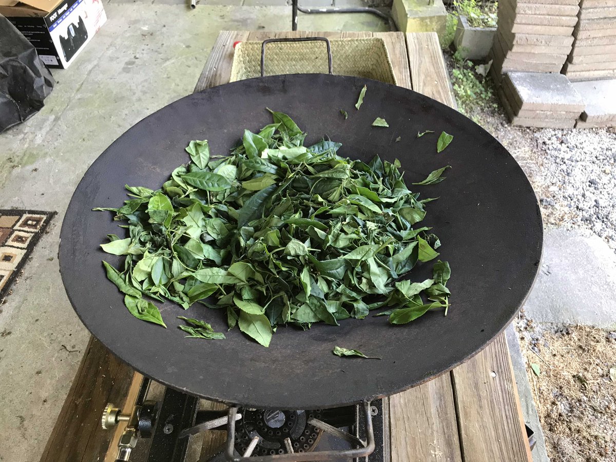Theteagardener's tweet photo. Gave my new wok a try in roasting green tea leaves. It was perfect! https://t.co/WPVvSjJi8G