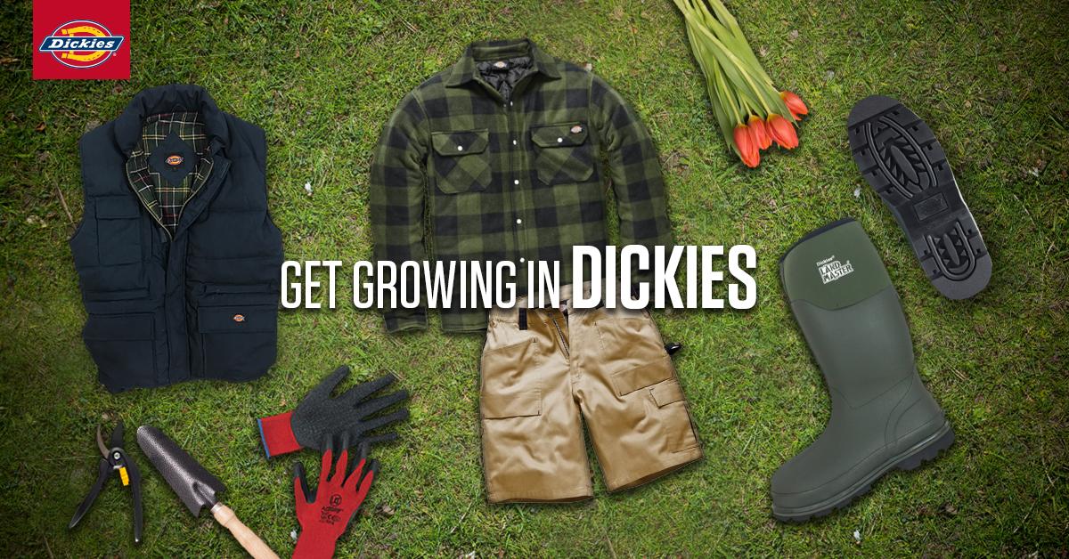 Dickies Europe tweet media