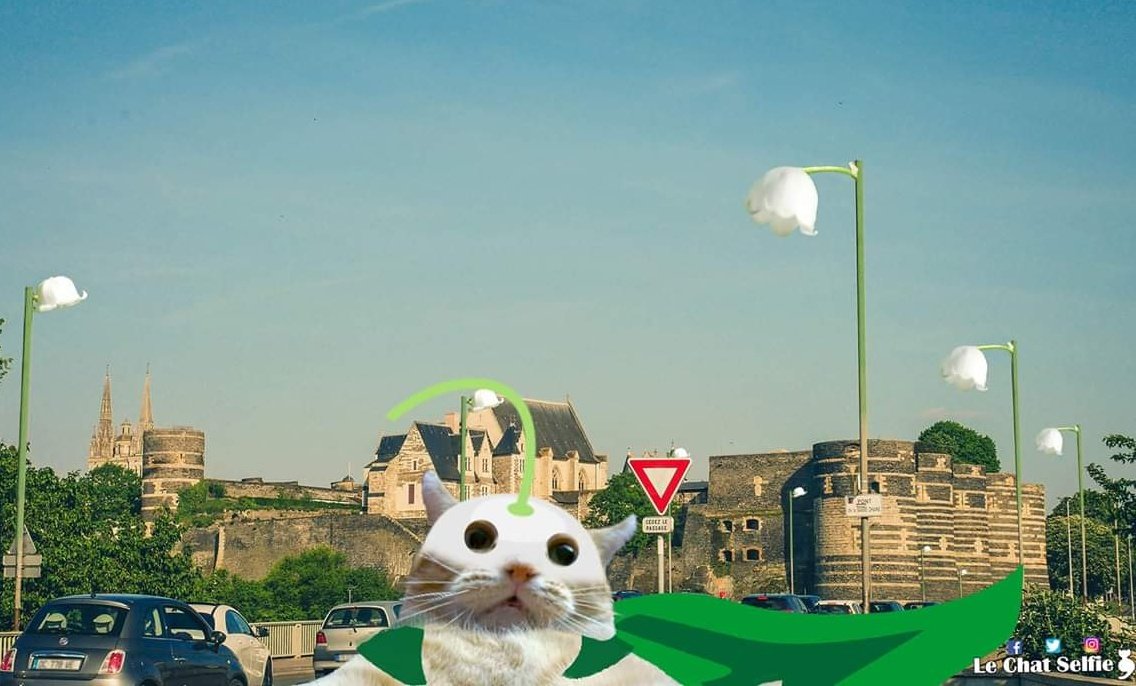 Je suis le Muget Masqué ! Je distribue un peu de #bonheur 🍀🦸‍♂️😸 #Angers #1erMai #Muguet (photo : @l_Angevin_media)