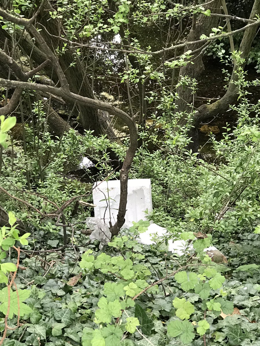 Trudibel's tweet photo. @Kent_cc @ThanetCouncil @DoverDC who is responsible for the verges off the highway around the A256 Ramsgate Road Just before the round about by BayPoint Leisure? Shame on whoever is responsible 🥵#environment #plasticpollution https://t.co/ibwIowiUYJ
