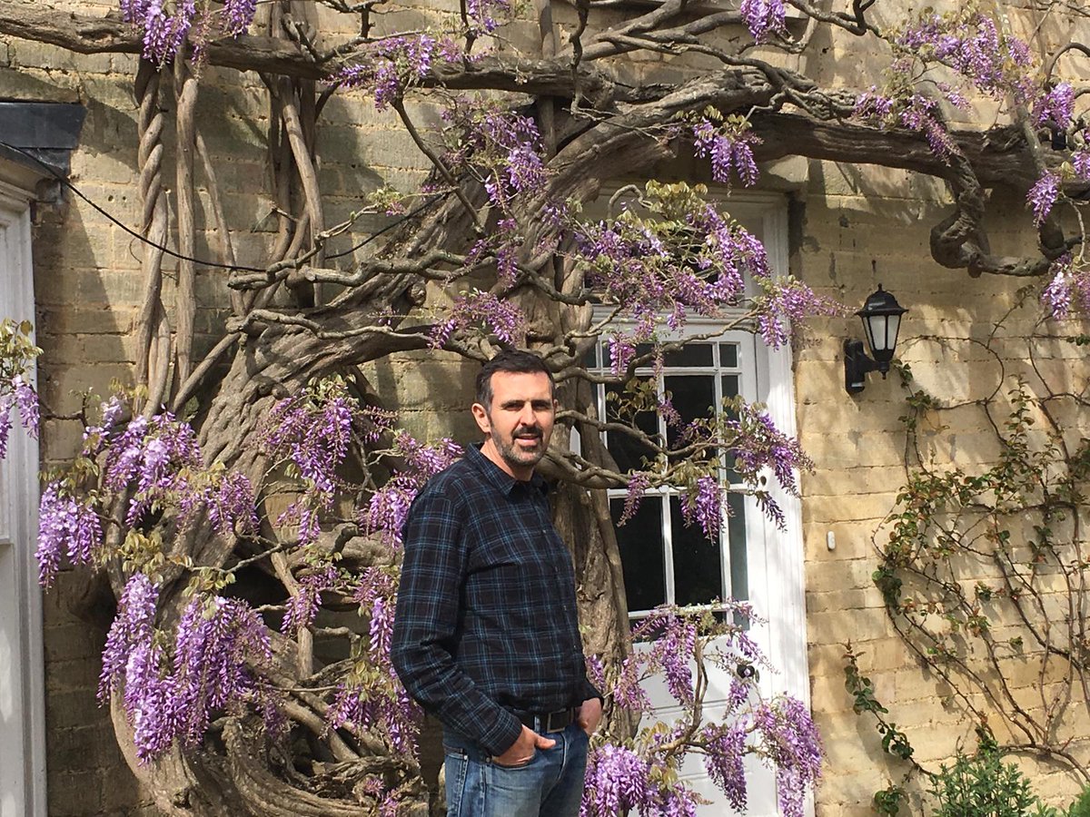 May is the month of the wisteria and it is one of the many attractions in Adam's garden this month. Join him this Friday at 8.30pm to see how his borders are progressing 🙂🌷🌿#GardenersWorld